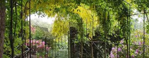 The Laburnum Tunnel
