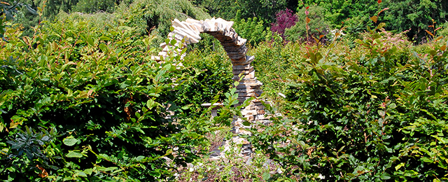 The Garden of Persistent Imagination